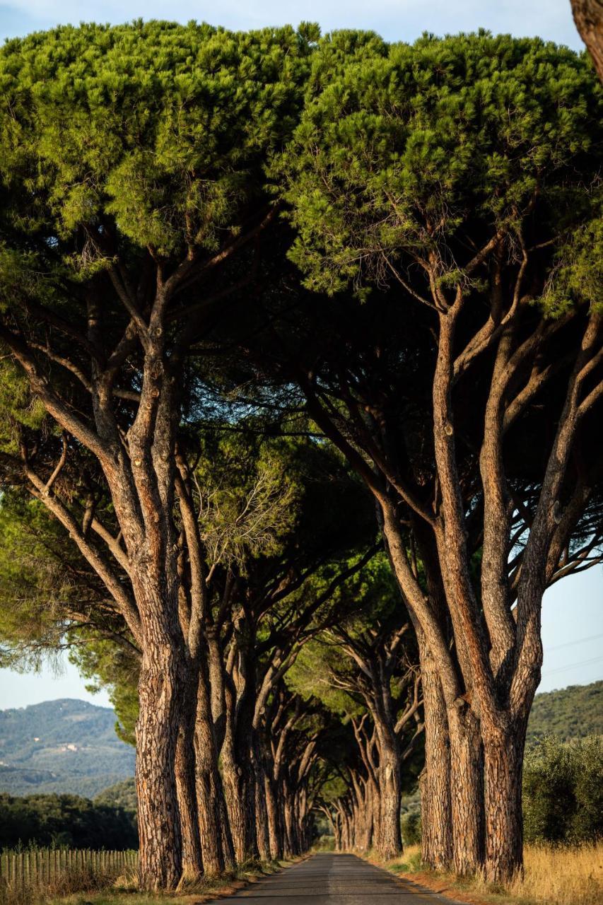 La Pescaia Resort 외부 사진
